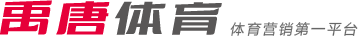 公开