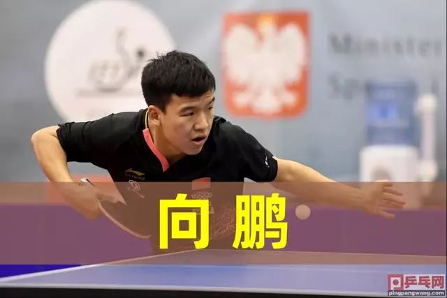 期待他们在 期待他们在