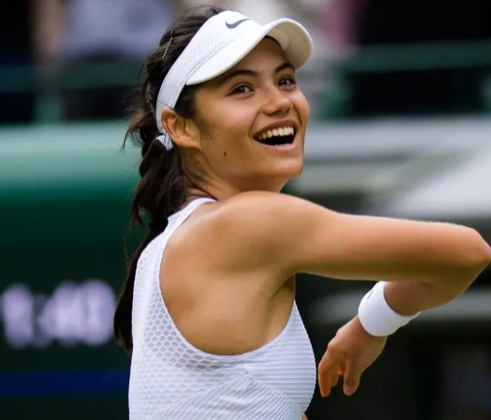 马之所以如 马之所以如