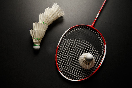 段中速弯性 段中速弯性